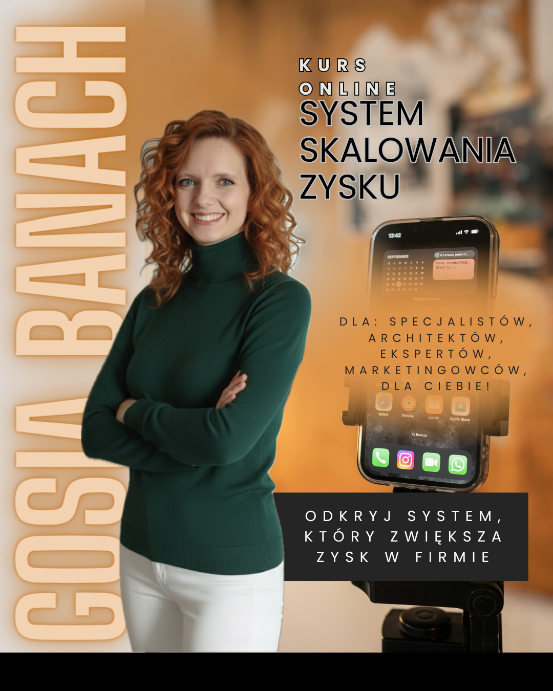 SYSTEM SKALOWANIA ZYSKU - kurs - obrazek 2